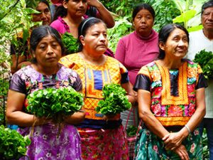Coffee Farmers in Oaxaca, Mexico wearing traditional dress holding young coffee saplings donated by Growers First