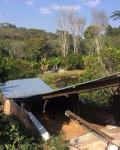 The coffee washing station and holding pond for the San Gil farming cooperative in Bucaramanga, Colombia help protect the environment from waste water after processing their arabica coffee.