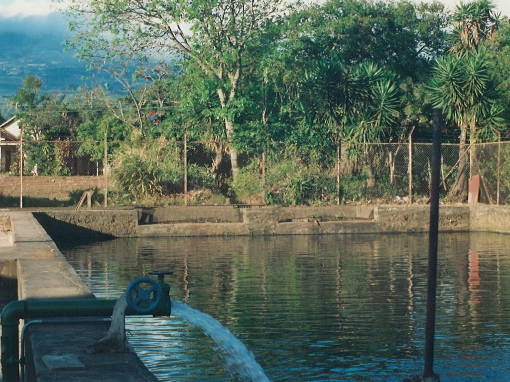 Water rushes out of a pipe into an environmentally friendly holding pond at a Costa Rican coffee farm's wash plant.