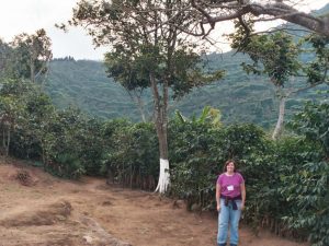 A visiting specialty coffee importer poses alongside these healthy arabica coffee trees on a coffee farm in El Salvador
