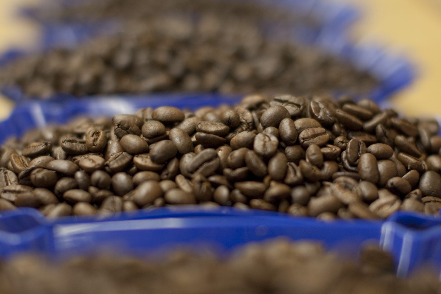 Closeup of Fresh Roasted Specialty Coffee Beans