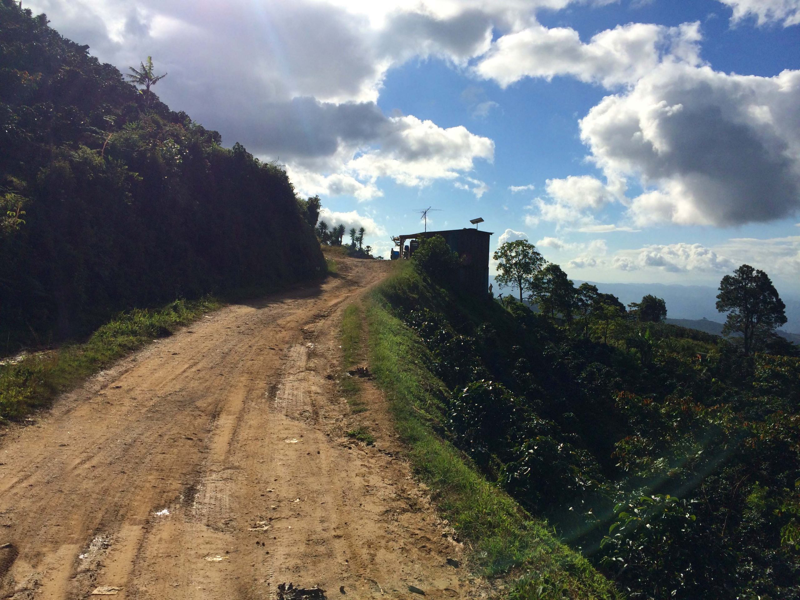 A picturesque dirt road in Azabache, Honduras on a cloudy day leading to coffee farms