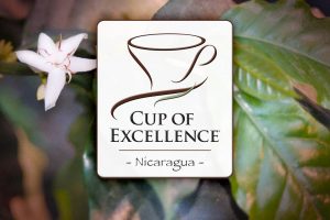Cup of Excellence Nicaragua