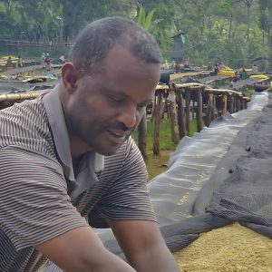 Ethiopia Yirgacheffe Wogida Producer